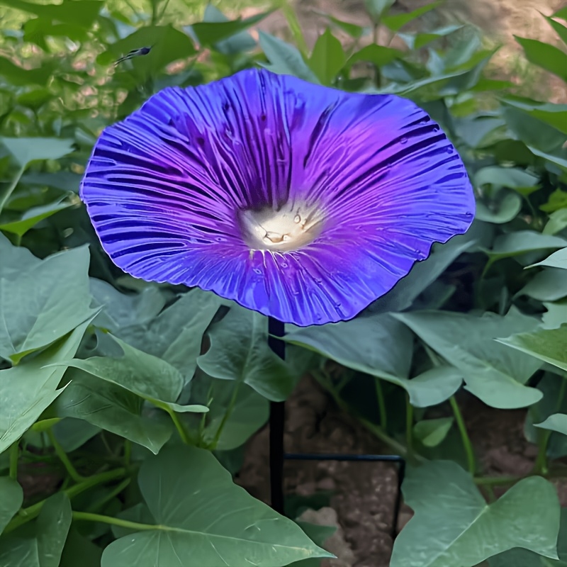 Food & Snacks Coloring Book Bold & Easy Pdf - Morning Glory Iron Bird Feeder, Hand-Painted
