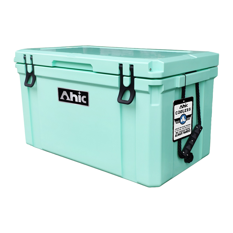 75L Insulated PE Ice Cooler Bo - Food & Snacks Coloring Book Bold & Easy Pdf avaliação e preço