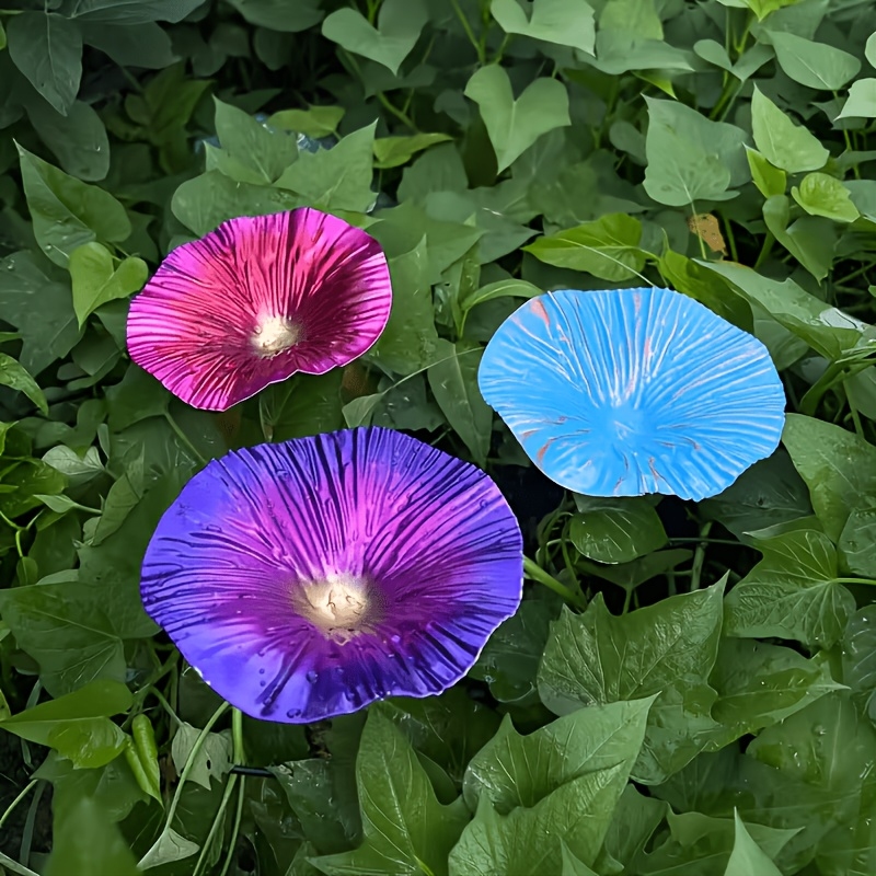 Morning Glory Iron Bird Feeder - Food & Snacks Coloring Book Bold & Easy Pdf avaliação e preço